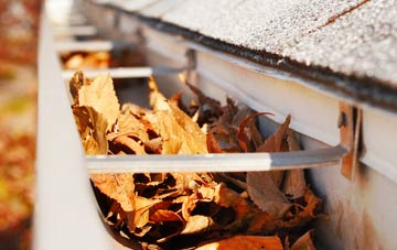 Newton Bromswold gutter cleaning companies